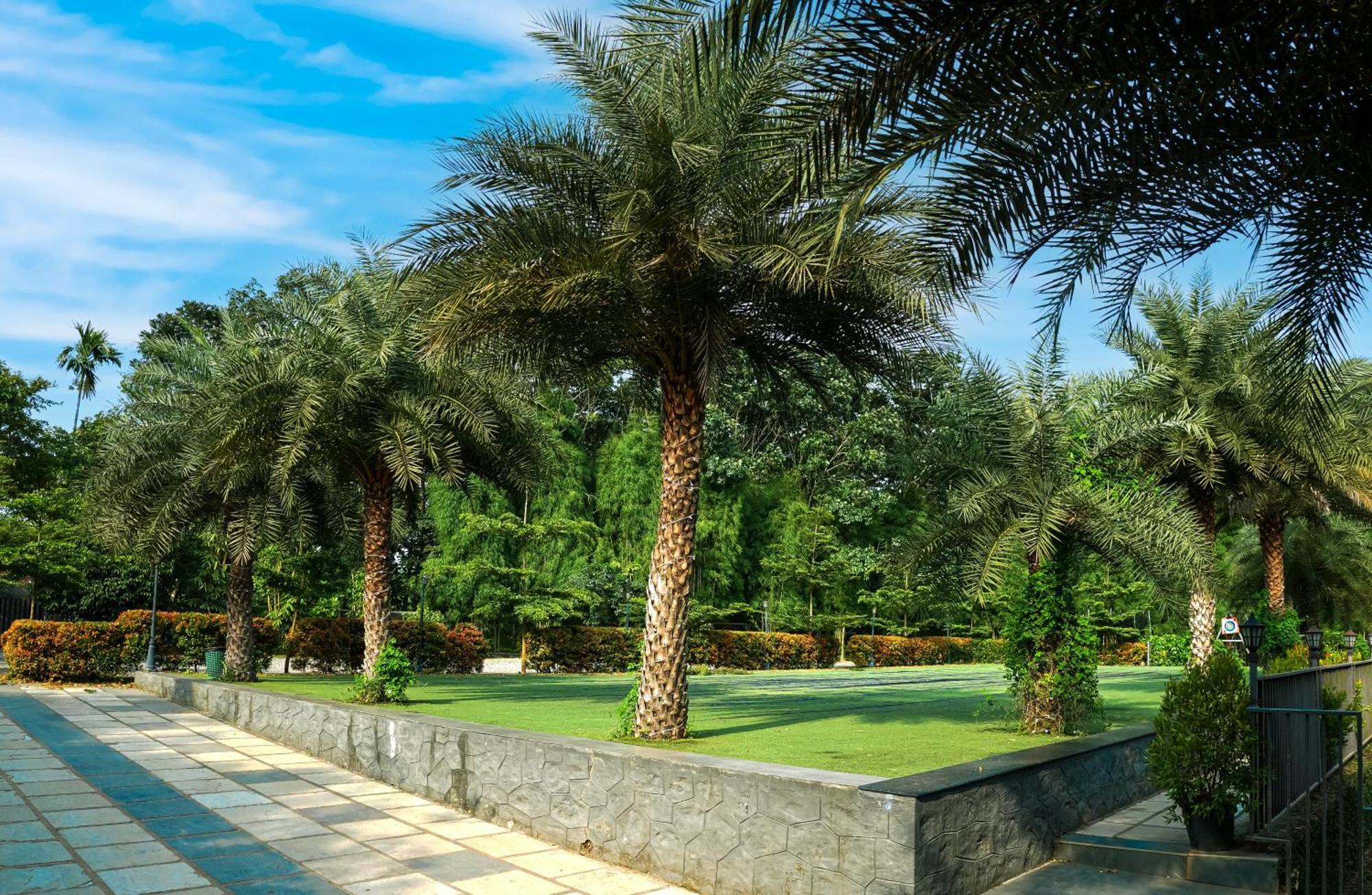 Fern Tree Resort Mananthavady Ngoại thất bức ảnh